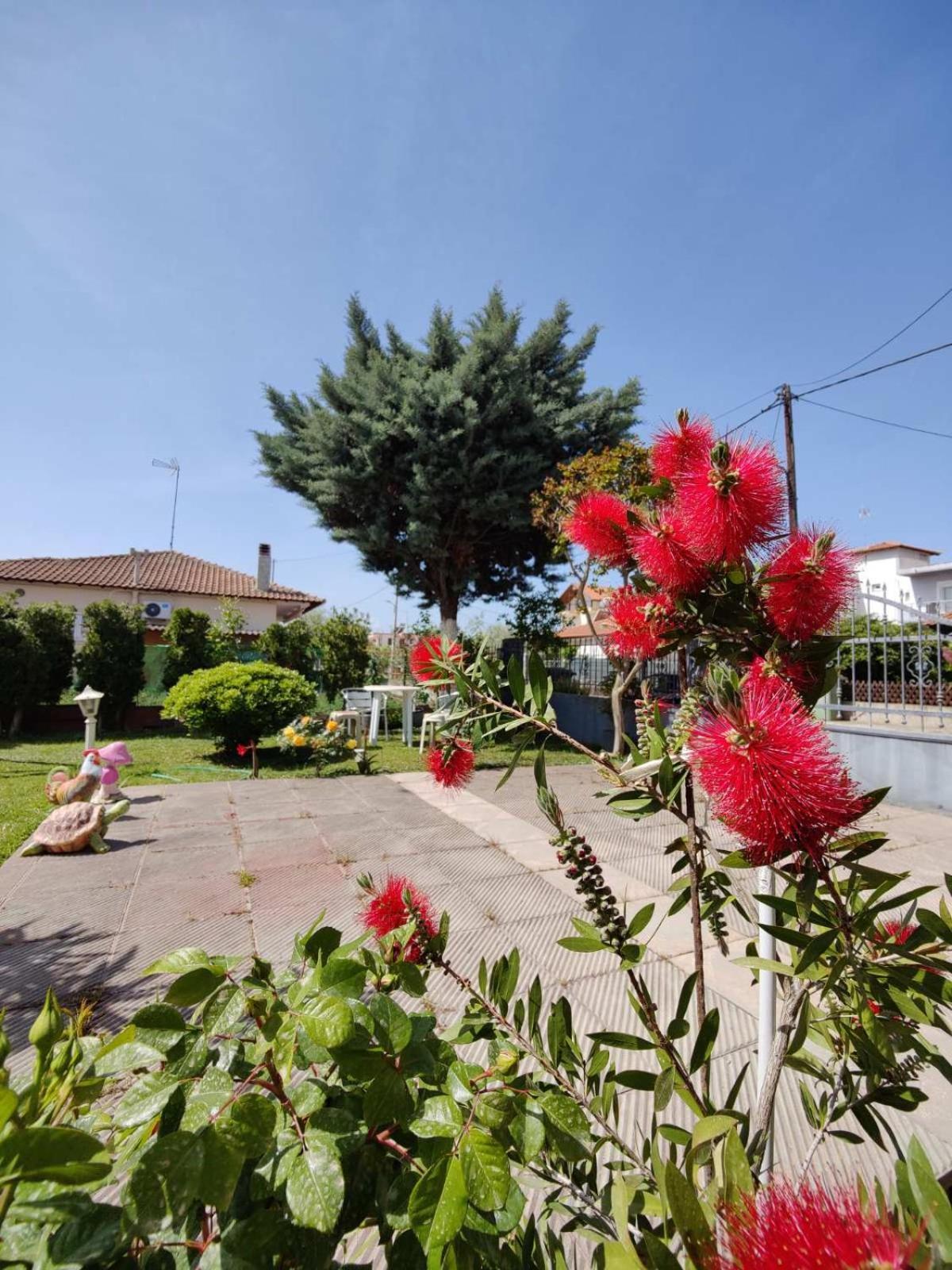 Vintage Lux Homes Nea Vrasna Exterior photo